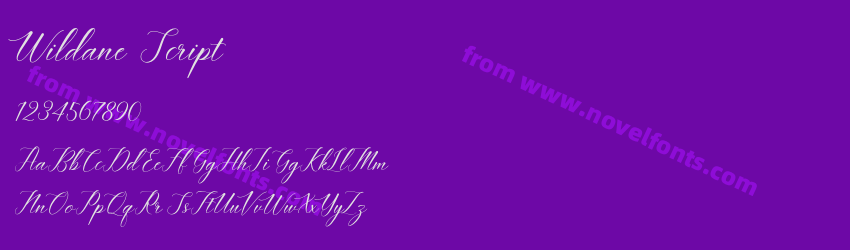 Wildane ScriptPreview Wildane ScriptPreview