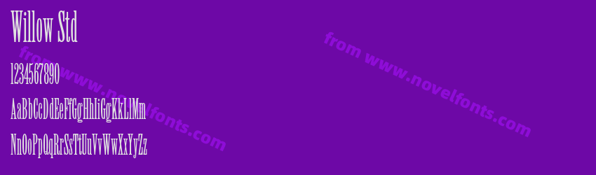 Willow StdPreview Willow StdPreview