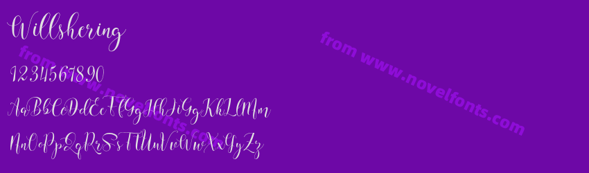 WillsheringPreview WillsheringPreview