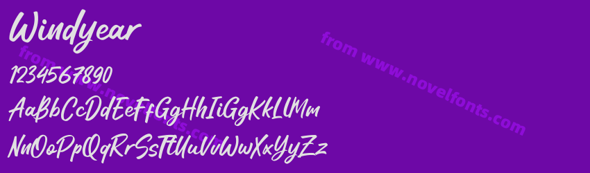 WindyearPreview