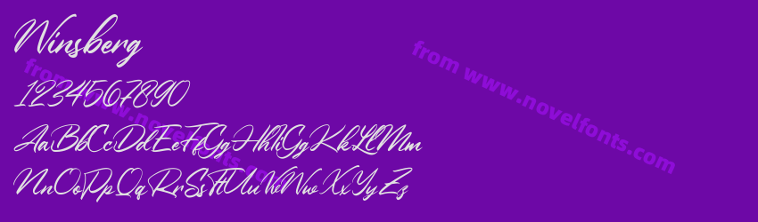 WinsbergPreview WinsbergPreview