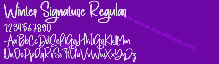 Winter Signature RegularPreview Winter Signature RegularPreview