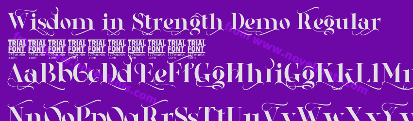 Wisdom in Strength Demo RegularPreview Wisdom in Strength Demo RegularPreview