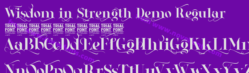 Wisdom in Strength Demo RegularPreview Wisdom in Strength Demo RegularPreview