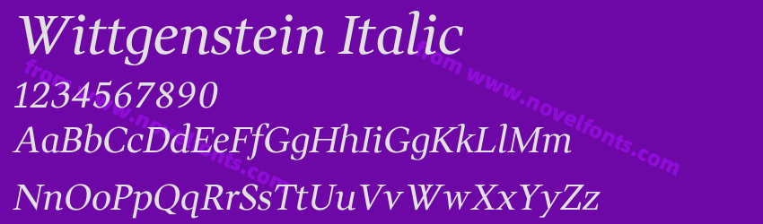 Wittgenstein ItalicPreview