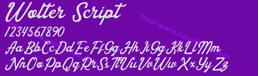 Wolter ScriptPreview Wolter ScriptPreview