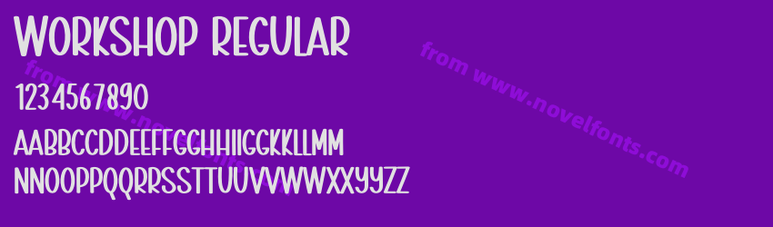 Workshop RegularPreview Workshop RegularPreview