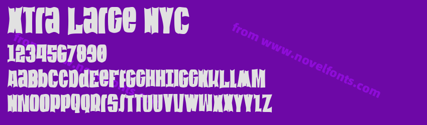 Xtra Large NYCPreview Xtra Large NYCPreview