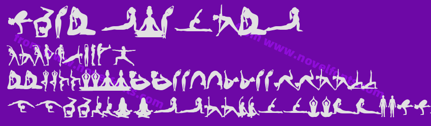 YOGA RegularPreview