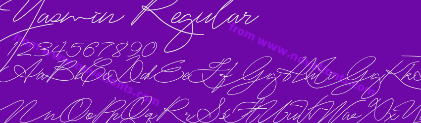 Yasmin RegularPreview Yasmin RegularPreview