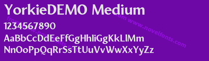 YorkieDEMO MediumPreview YorkieDEMO MediumPreview