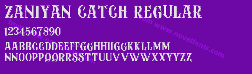 Zaniyan Catch RegularPreview Zaniyan Catch RegularPreview