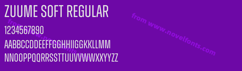 Zuume Soft RegularPreview Zuume Soft RegularPreview