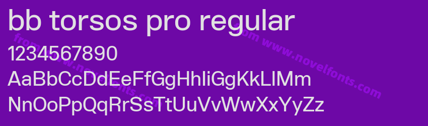 bb torsos pro regularPreview bb torsos pro regularPreview