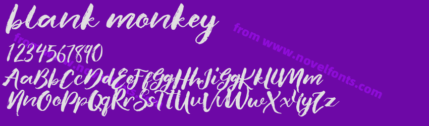 blank monkeyPreview