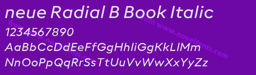 neue Radial B Book ItalicPreview neue Radial B Book ItalicPreview
