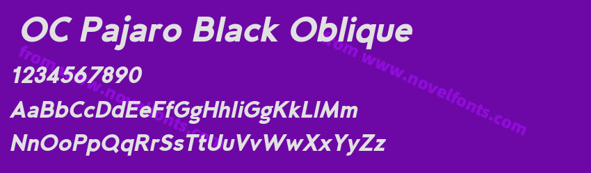 OC Pajaro Black ObliquePreview OC Pajaro Black ObliquePreview