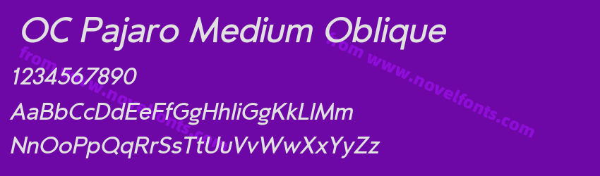 OC Pajaro Medium ObliquePreview OC Pajaro Medium ObliquePreview