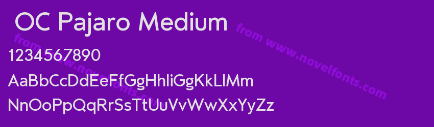 OC Pajaro MediumPreview OC Pajaro MediumPreview