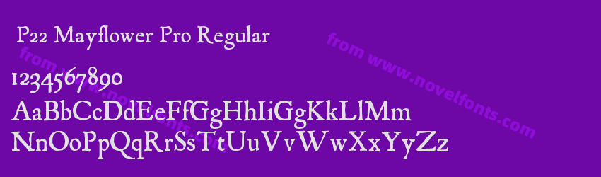 P22 Mayflower Pro RegularPreview P22 Mayflower Pro RegularPreview