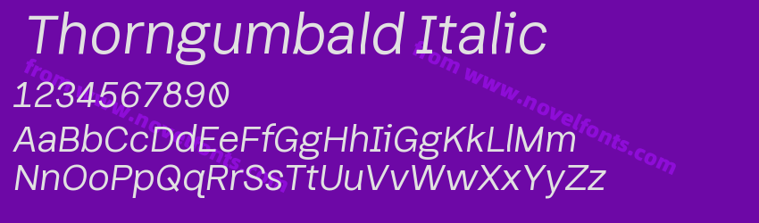 Thorngumbald ItalicPreview Thorngumbald ItalicPreview