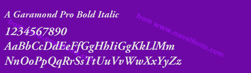 A Garamond Pro Bold ItalicPreview