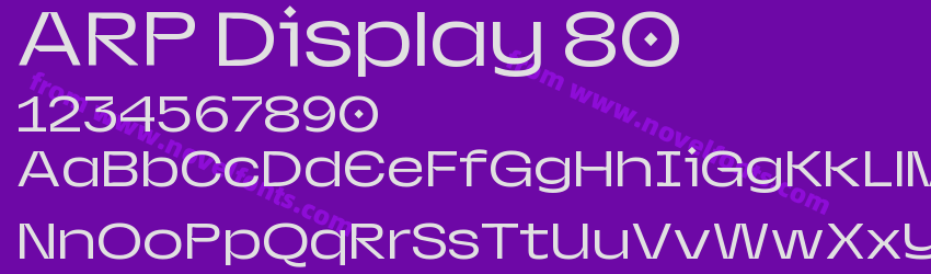 ARP Display 80Preview ARP Display 80Preview