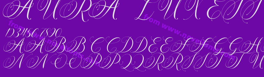 AURA LUXESS CalligraphyPreview AURA LUXESS CalligraphyPreview