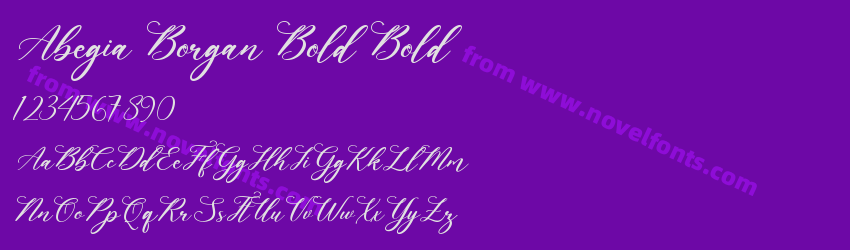 Abegia Borgan Bold BoldPreview Abegia Borgan Bold BoldPreview