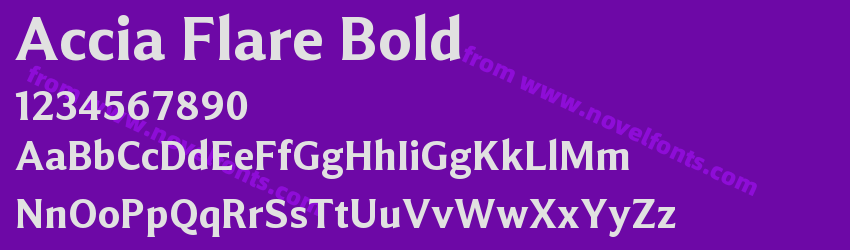 Accia Flare BoldPreview