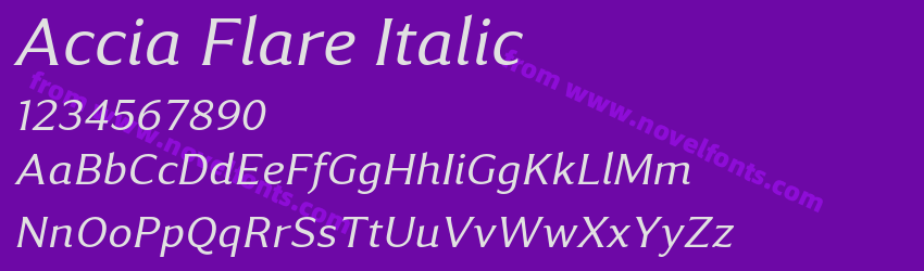 Accia Flare ItalicPreview Accia Flare ItalicPreview
