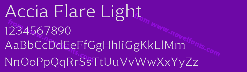 Accia Flare LightPreview Accia Flare LightPreview