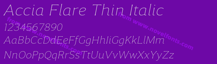 Accia Flare Thin ItalicPreview Accia Flare Thin ItalicPreview