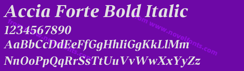 Accia Forte Bold ItalicPreview Accia Forte Bold ItalicPreview