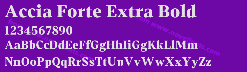 Accia Forte Extra BoldPreview Accia Forte Extra BoldPreview