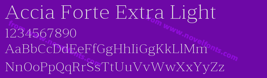 Accia Forte Extra LightPreview Accia Forte Extra LightPreview