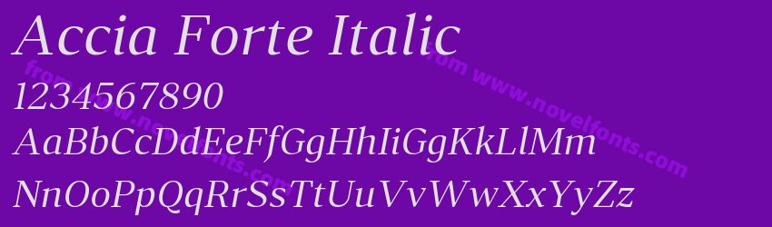 Accia Forte ItalicPreview Accia Forte ItalicPreview