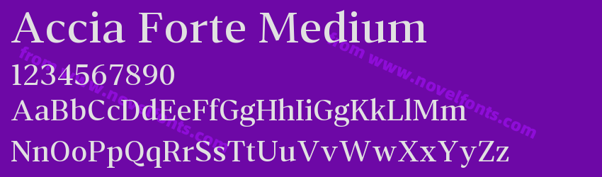 Accia Forte MediumPreview Accia Forte MediumPreview