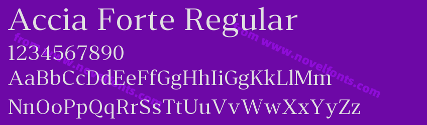 Accia Forte RegularPreview Accia Forte RegularPreview