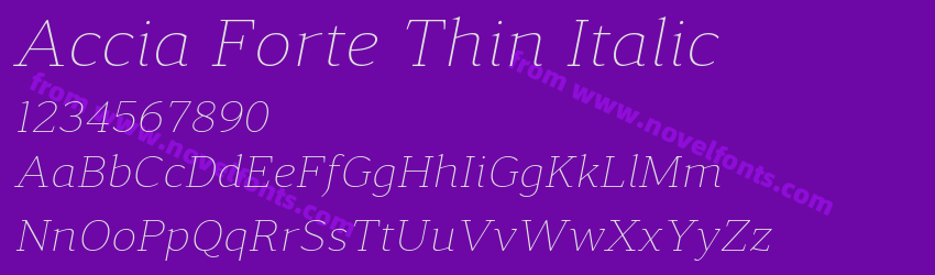 Accia Forte Thin ItalicPreview Accia Forte Thin ItalicPreview