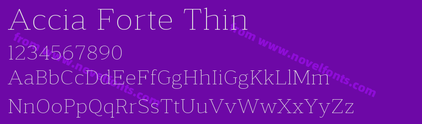 Accia Forte ThinPreview Accia Forte ThinPreview