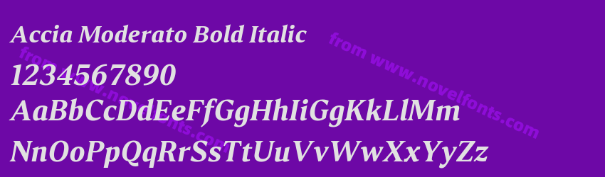 Accia Moderato Bold ItalicPreview Accia Moderato Bold ItalicPreview