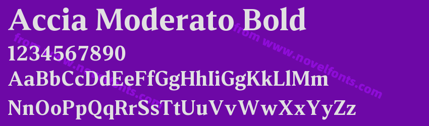 Accia Moderato BoldPreview Accia Moderato BoldPreview