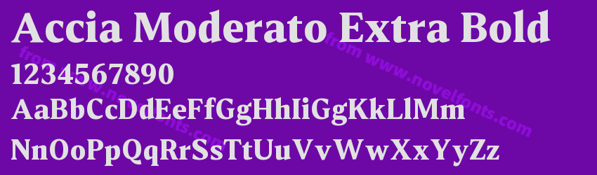 Accia Moderato Extra BoldPreview Accia Moderato Extra BoldPreview