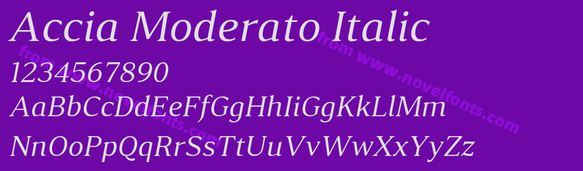 Accia Moderato ItalicPreview Accia Moderato ItalicPreview