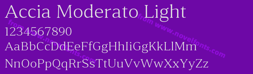 Accia Moderato LightPreview Accia Moderato LightPreview