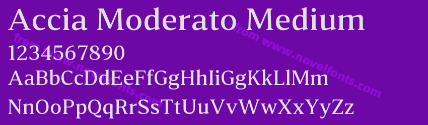 Accia Moderato MediumPreview Accia Moderato MediumPreview
