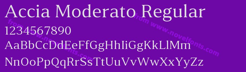 Accia Moderato RegularPreview Accia Moderato RegularPreview