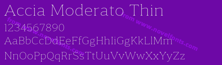 Accia Moderato ThinPreview Accia Moderato ThinPreview
