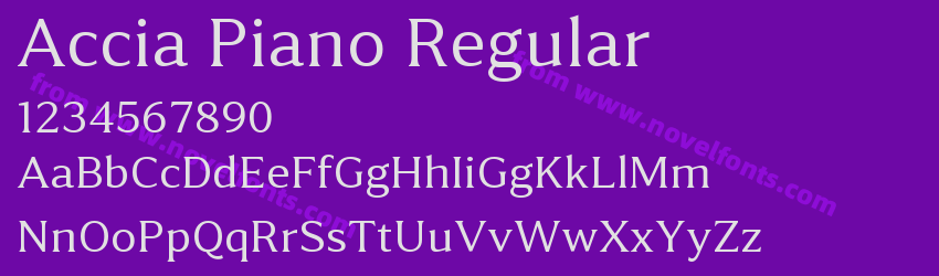Accia Piano RegularPreview Accia Piano RegularPreview